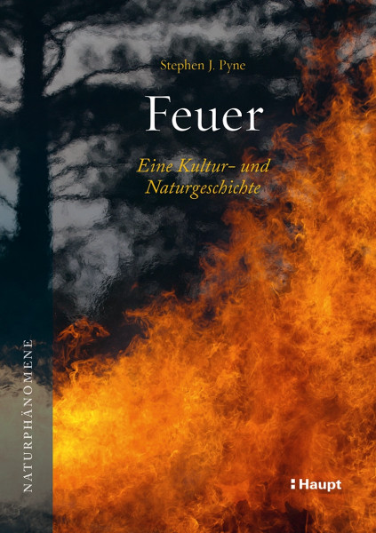 Feuer, Haupt Verlag, Autor S. J. Pyne