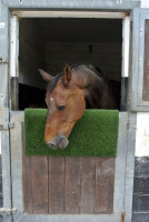 Kratz- und Reinigungsmatte KratzPad ist ideal zum Kratzen und Schubbern Kratz- und Reinigungsmatte KratzPad ist ideal zum Kratzen und Schubbern
