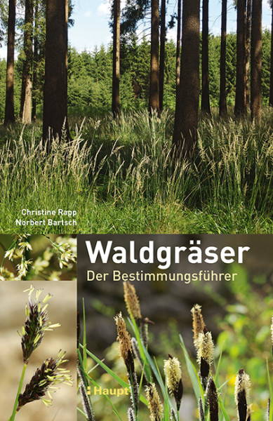 Waldgräser - Der Bestimmungsführer, Haupt Verlag, Autoren C. Rapp, N. Bartsch