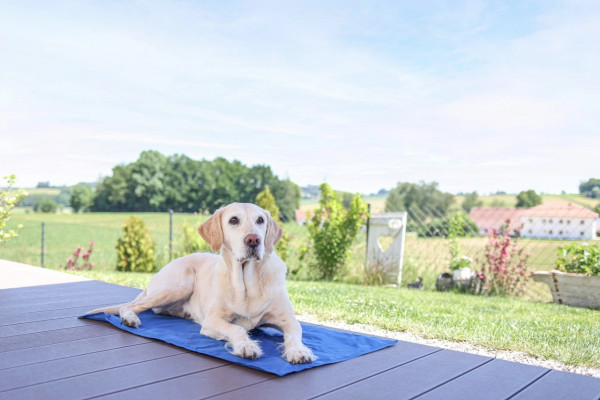 Kühlmatte Cool-Relax für drinnen & draußen