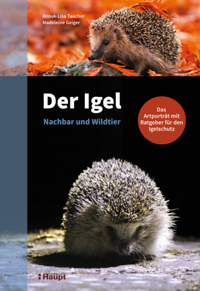 Der Igel – Nachbar und Wildtier, Das Artporträt mit Ratgeber für den Igelschutz, Haupt Verlag, Autoren A.-L. Taucher, M. Geiger