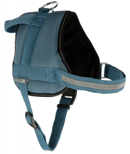 Geschirr Maestro 2.0 in 5 Größen, petrol