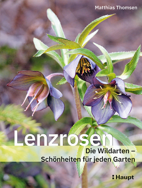 Lenzrosen: Die Wildarten - Schönheiten für jeden Garten, Haupt Verlag, Autor M. Thomsen