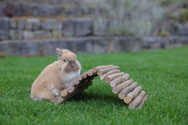 Holzbrücke zum Klettern und Verstecken