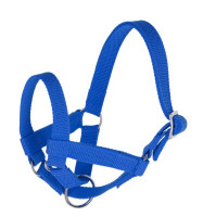 blaues Lama-Halfter in 2 Größen ist perfekt auf die spezielle Kopfform von Lamas und Alpaka zugeschnitten blaues Lama-Halfter in 2 Größen ist perfekt auf die spezielle Kopfform von Lamas und Alpaka zugeschnitten