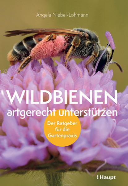 Wildbienen artgerecht unterstützen - Der Ratgeber für die Gartenpraxis, Haupt Verlag, Autorin Niebel-Lohmann, A.