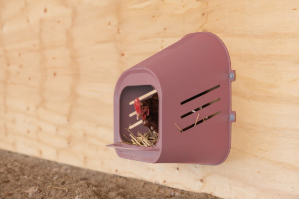 Legenest für Hühner, Nest zur Wandmontage, für große, schwere Rassen geeignet, Kunststoff Farbe rosé
