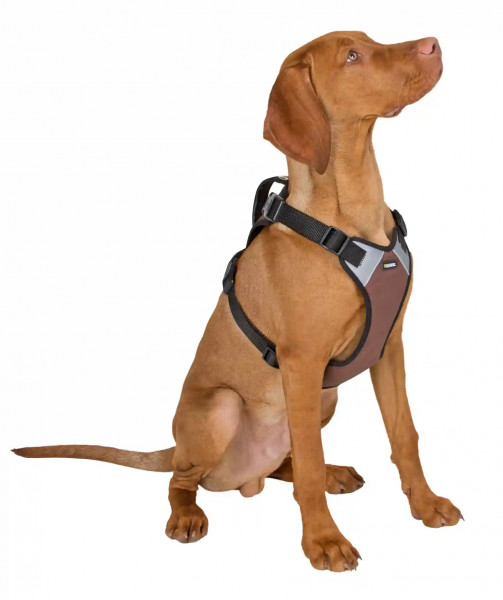 Hundegeschirr Pulsive mit stufenlos verstellbarem Brust- und Bauchgurt