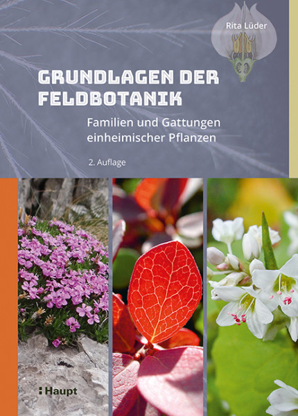 Grundlagen der Feldbotanik - Familien und Gattungen einheimischer Pflanzen, Haupt Verlag, Autorin Leder, R.