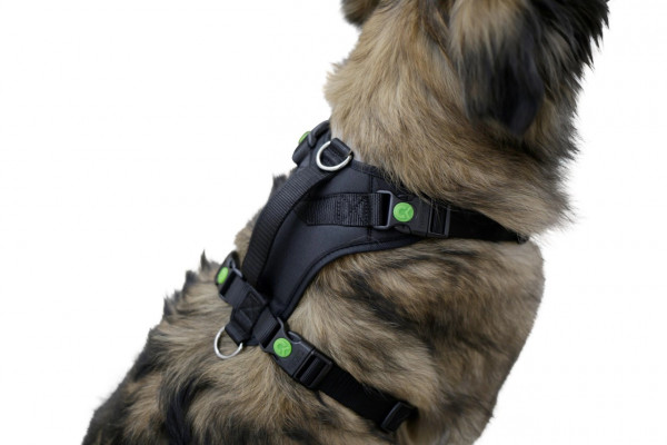 Hundegeschirr Pulsive inklusive Haltegurt