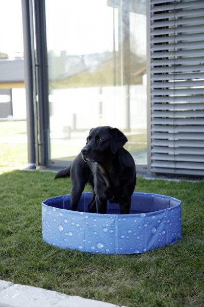 Hundepool Bubble aus Kunststoff, in 2 Größen erhältlich