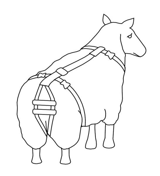 Gebrmutter Vorfallbandage fr Schafe kaufen | Land-Warenhaus