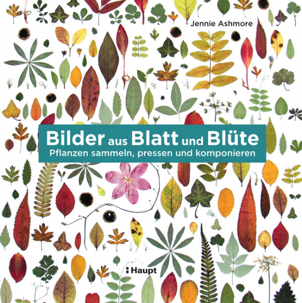 Bilder aus Blatt und Blüte - Pflanzen sammeln, pressen und komponieren, Haupt Verlag, Autorin J. Ashmore