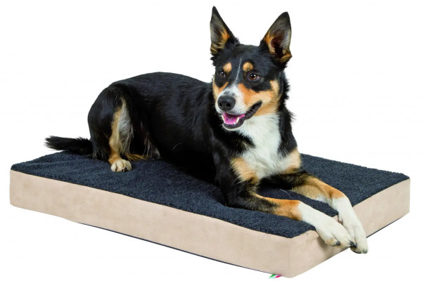 Memory-Foam Matratze Gesundheitsmatratze für große Hunde, in 3 Größen