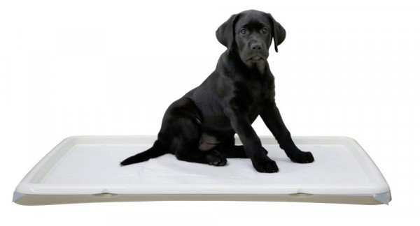 Welpentoilette XL aus Kunststoff, Hundeklo für Welpen, kranke oder ältere Hunde