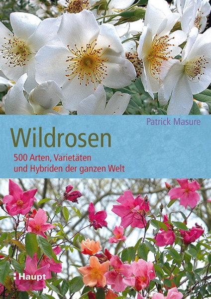 Wildrosen - 500 Arten, Varietäten und Hybriden der ganzen Welt, Haupt Verlag, Autor P. Masure