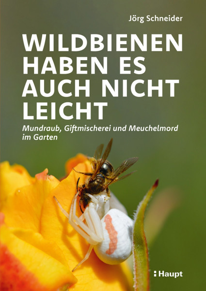 Wildbienen haben es auch nicht leicht, Haupt Verlag, Autor J. Schneider