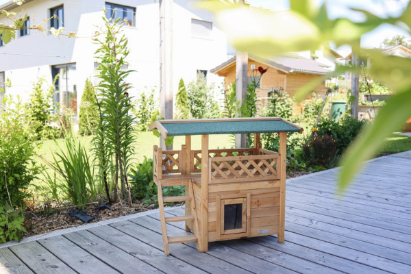 Katzenhaus Lodge mit geräumigem Häuschen