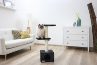 Kratzbaum Venus Sweet mit Höhle und Liegeflächen Kratzbaum Venus Sweet mit Höhle und Liegeflächen