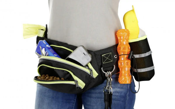 Trainings-Bauchgurt Active, mit zwei Reißverschlusstaschen, Kotbeuteltasche, D-Ring, elastischer Schlaufe und Trinkflaschentasche