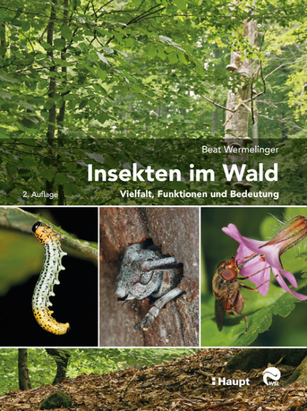 Insekten im Wald: Vielfalt, Funktionen und Bedeutung, Haupt Verlag, Autor B. Wermelinger