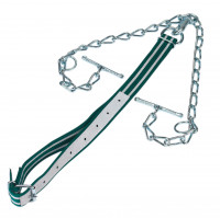 Rinderanbindung Standard mit Halsband und doppelter Kette  Rinderanbindung Standard mit Halsband und doppelter Kette