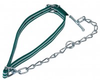 Kälberanbindung Standard Kälberanbindung Standard für normale Beanspruchung komplett mit Halsband und Kettenteil