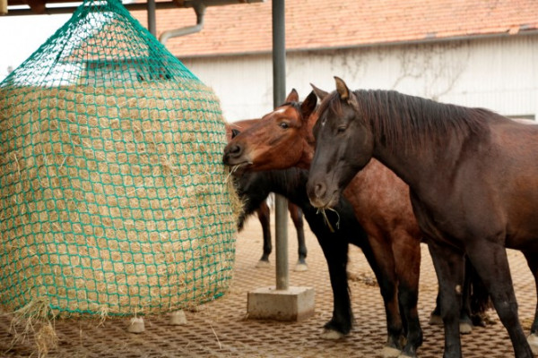 Futternetz zum hängend Vorspannen für Heu- und Siloballen für die futtersparende Versorgung von Pferden mit Raufutter.