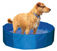 Hundepool aus robustem Kunststoffmaterial, ideal für Wasserratten Hundepool aus robustem Kunststoffmaterial, ideal für Wasserratten