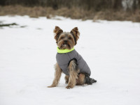 Vorschau: Steppmantel Charmonix wendbar und somit in 2 verschiedenen Farben nutzbar Vorschau: Steppmantel Charmonix wendbar und somit in 2 verschiedenen Farben nutzbar