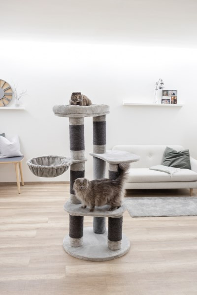 Kratzbaum Benji ist speziell für große oder viele Katzen perfekt geeignet