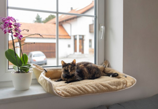 Fensterliegekissen zum Hochklappen ist ideal zur Platzierung an kalten Wänden, Fensterbrettern, usw.