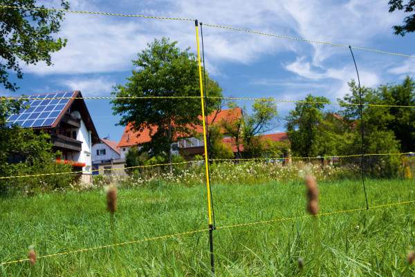 gelber Ersatzpfahl für EasyNet Schafnetz
