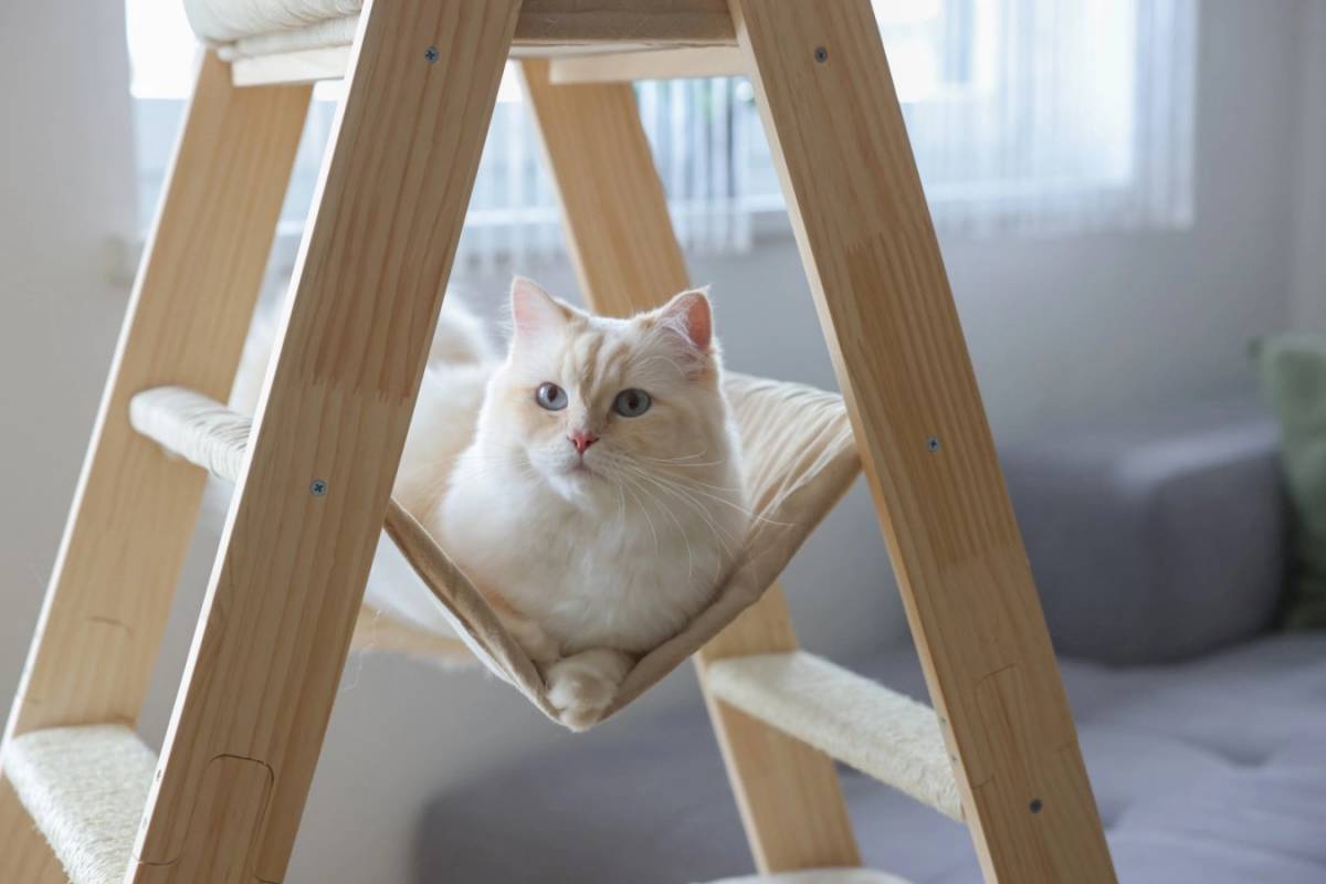 Moderner Katzen-Kratzbaum im Leiteroptik | Land-Warenhaus