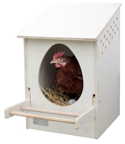 Legenest mit 1 Abteil bietet Hühnern eine saubere Umgebung zum Legen der Eier