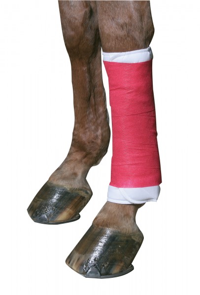 Selbsthaftende Bandage EquiLastic rot, die ideale Bandage für den Reitsport, die Klauenpflege etc.