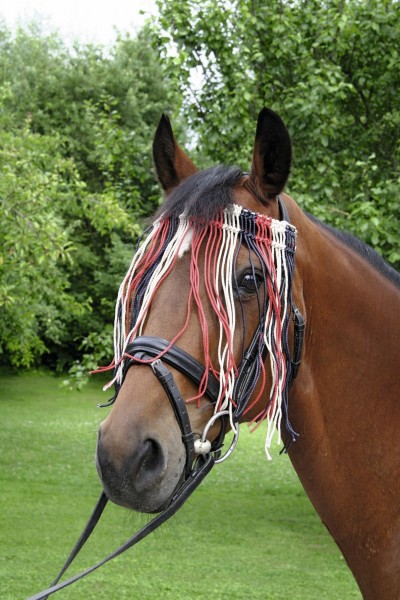 Fliegen-Fransenband aus Baumwollkordeln, schützt die Augen des Pferdes ohne das Sehen zu beeinträchtigen