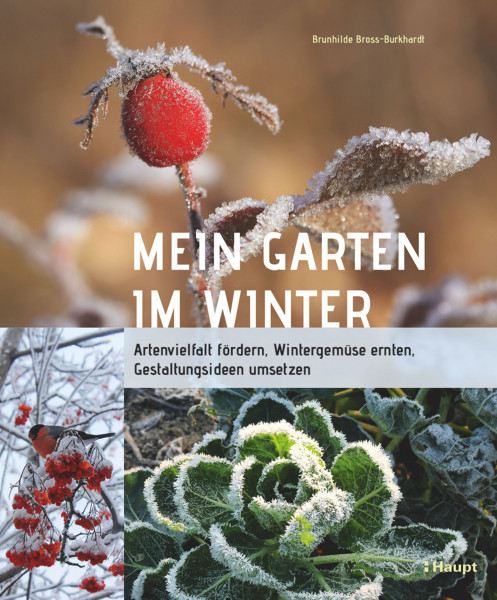 Mein Garten im Winter: Artenvielfalt fördern, Wintergemüse ernten, Gestaltungsideen umsetzen, Haupt Verlag, Autor B. Bross-Burkhardt
