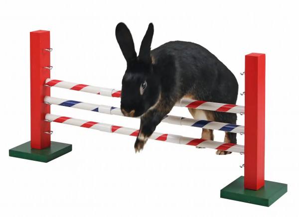 Agility für Kaninchen, Sprunghöhe je nach Größe und Fitness der Tiere einstellbar 