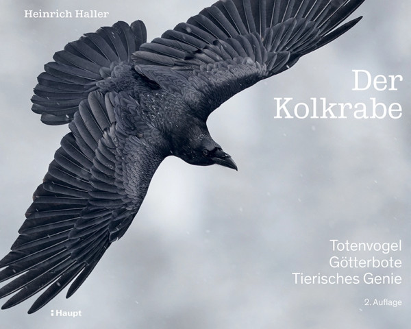 Der Kolkrabe – Totenvogel, Götterbote, tierisches Genie, Haupt Verlag, Autor H. Haller