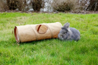 Nagertunnel aus Leinen für Kaninchen & Meerschweinchen Nagertunnel aus Leinen für Kaninchen & Meerschweinchen