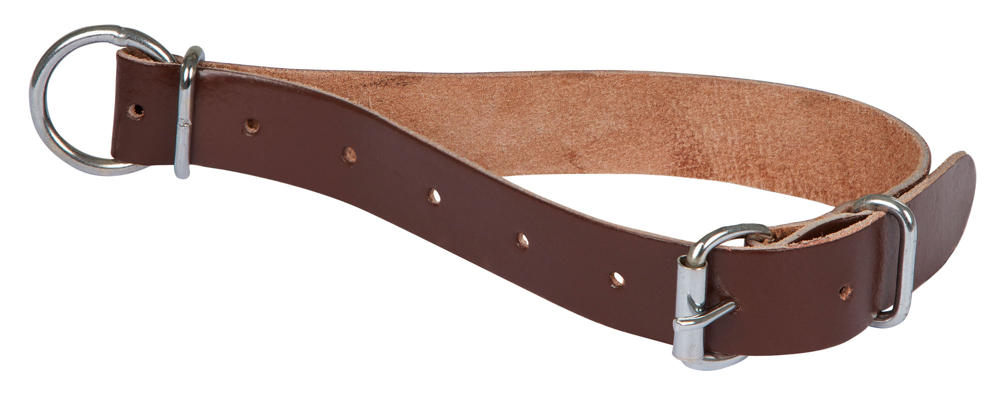 stabiles Halsband aus Leder fr Ziegen & Schafe | Land-Warenhaus