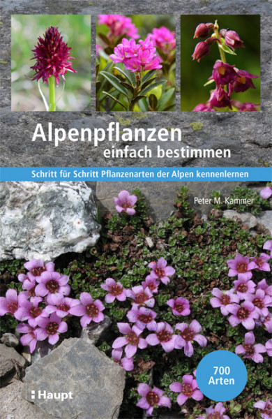 Alpenpflanzen einfach bestimmen, Haupt Verlag, Autor P.M. Kammer