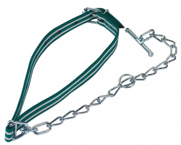 Kälberanbindung Standard für normale Beanspruchung komplett mit Halsband und Kettenteil
