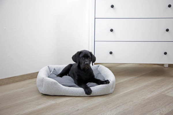 Kuschelbett Graphene in Größe S