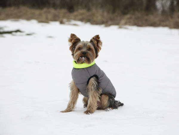 Steppmantel Charmonix wendbar und somit in 2 verschiedenen Farben nutzbar