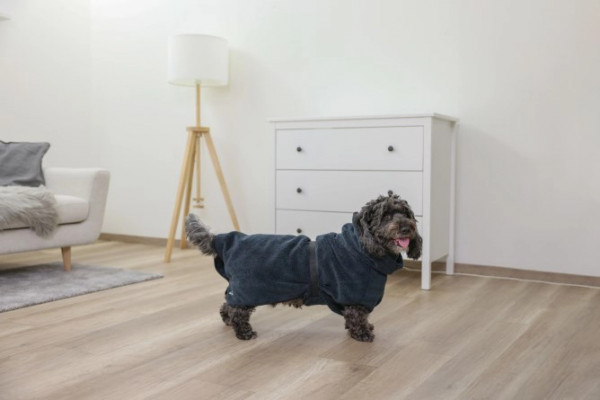 Bademantel für Hunde zum schnellen Anlegen nach Spaziergängen oder dem Baden