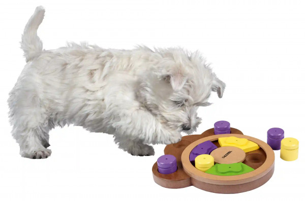 Denk- und Lernspielzeug Paw, bietet die Möglichkeit Ihren Hund stundenlang zu beschäftigen
