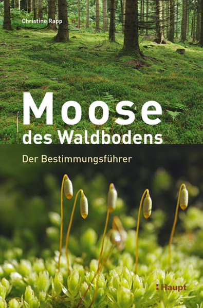 Moose des Waldbodens - Der Bestimmungsführer, Haupt Verlag, Autor C. Rapp