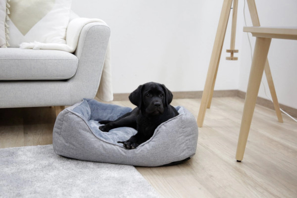Kuschelbett Marie in Größe S